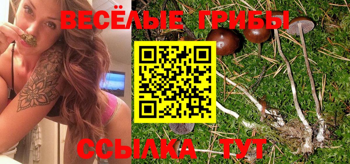 Галлюциногенные грибы Magic Shrooms Менделеевск
